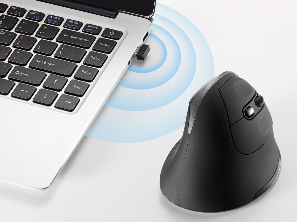 Miška Ewent Wireless Ergonomic Vertical, 2400dpi, črna, USB