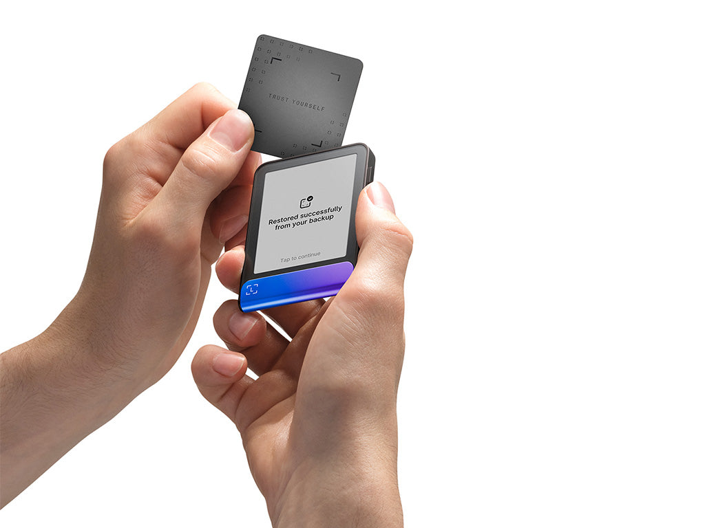 Ledger Flex z Recovery Key, denarnica za Bitcoin in druge kriptovalute, Neptune Blue