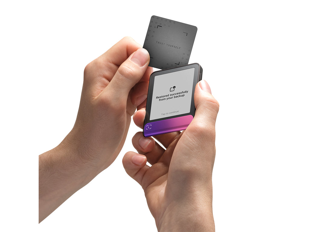 Ledger Flex z Recovery Key, denarnica za Bitcoin in druge kriptovalute, Crimson Magenta
